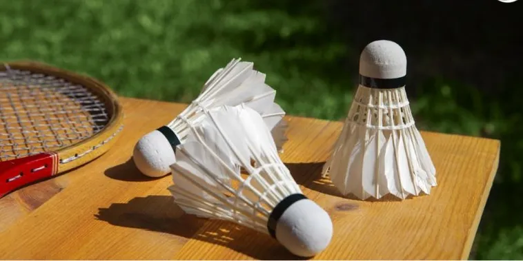 Tham Gia Cá Cược Cầu Lông Tại 79Win: Hành Trình Thắng Lợi Đang Chờ! 2 Tham Gia Cá Cược Cầu Lông Tại 79Win: Hành Trình Thắng Lợi Đang Chờ!